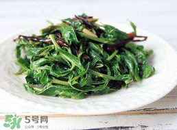 香椿和芹菜能一起吃嗎？香椿可以和芹菜同吃嗎？