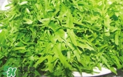 痛風(fēng)能吃苦菊嗎？苦菊痛風(fēng)人可以吃嗎