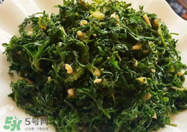 薺菜和香椿能一起吃嗎？薺菜和香椿一起吃好嗎？