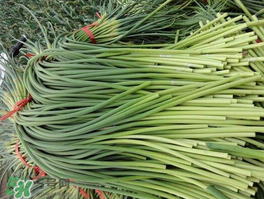 蒜苔可以和西紅柿一起吃嗎？蒜苔和西紅柿能同吃嗎？