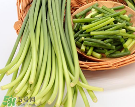 蒜苔能放在冰箱里嗎？蒜苔能在冰箱放幾天？