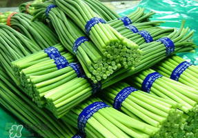 蒜苔能放在冰箱里嗎？蒜苔能在冰箱放幾天？