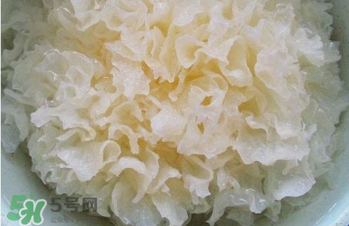 苦菊能和木耳一起吃嗎？苦菊能和黑木耳一起吃嗎