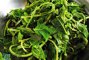 香椿和薄荷能一起吃嗎？香椿和薄荷一起吃會(huì)中毒嗎？