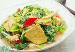 苦菊能和豆腐一起吃嗎？苦菊可以和豆腐一起吃嗎