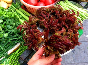 香椿和豬肉能一起吃嗎？香椿豬肉餃子餡兒的做法