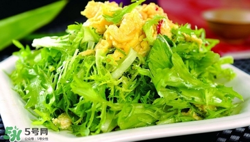 苦菊能和韭菜一起吃嗎？苦菊可以和韭菜一起吃嗎