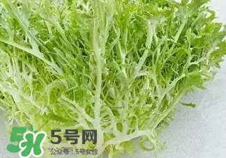 苦菊能和羊肉一起吃嗎？苦菊可以和羊肉一起吃嗎