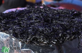 苦菊能和紫菜一起吃嗎？苦菊可以和紫菜一起吃嗎