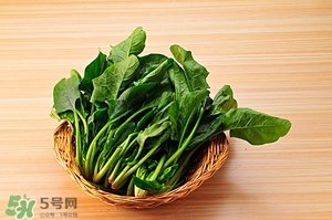 紅根菜功效與作用 紅根菜的做法忌諱 紅根菜功效與作用 紅根菜的做法忌諱