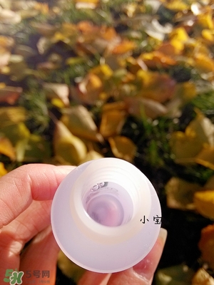 倩碧有酒精嗎？倩碧有激素嗎？