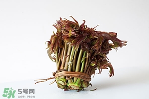 香椿樹什么時候發(fā)芽？香椿樹什么時候種植