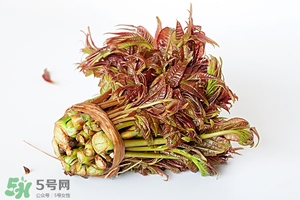 香椿樹什么時候發(fā)芽？香椿樹什么時候種植