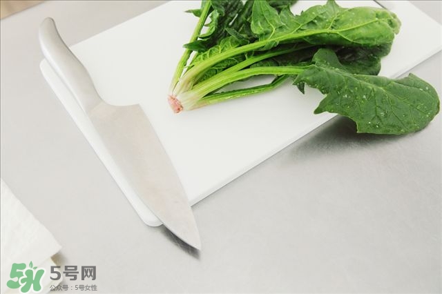 紅根菜功效與作用 紅根菜的做法忌諱 紅根菜功效與作用 紅根菜的做法忌諱