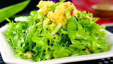 苦菊能和雞蛋一起吃嗎？苦菊可以和雞蛋一起吃嗎