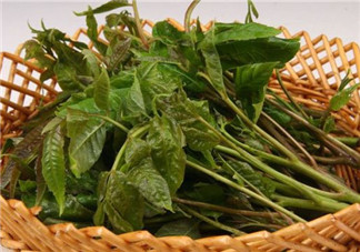 香椿葉怎么吃？香椿葉的吃法