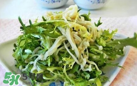 苦菊用不用焯水？涼拌苦菊用開水焯水嗎