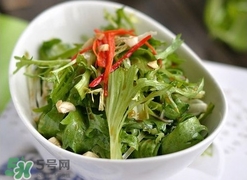 苦菊苦嗎？苦菊苦不苦