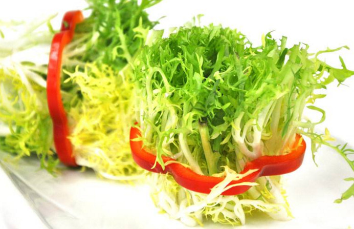 苦菊和什么相克？苦菊不能和什么同吃