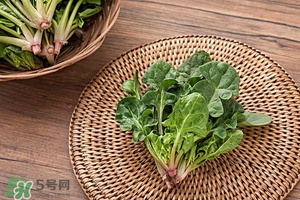 紅根菜功效與作用 紅根菜的做法忌諱 紅根菜功效與作用 紅根菜的做法忌諱