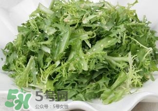 苦菊吃多了好嗎？苦菊吃多了好不