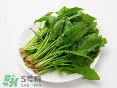 紅根菜功效與作用 紅根菜的做法忌諱 紅根菜功效與作用 紅根菜的做法忌諱