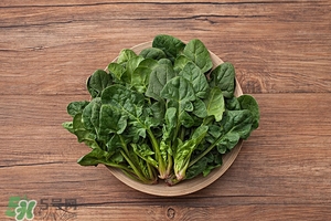 紅根菜功效與作用 紅根菜的做法忌諱 紅根菜功效與作用 紅根菜的做法忌諱