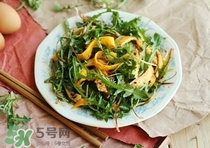 蒲公英怎么吃比較好?蒲公英的吃法大全 蒲公英怎么吃比較好?蒲公英的吃法大全