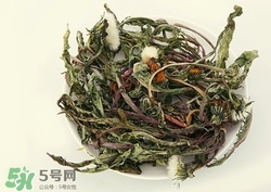 蒲公英怎么保存?新鮮蒲公英怎樣保存? 蒲公英怎么保存?新鮮蒲公英怎樣保存?