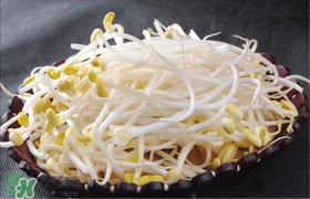 香椿和豆芽能一起吃嗎？香椿豆芽的做法大全