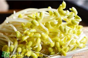 香椿和豆芽能一起吃嗎？香椿豆芽的做法大全