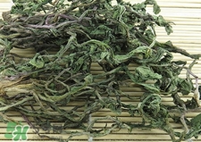 蒲公英曬干還需焯水嗎?蒲公英曬干后要焯水嗎? 蒲公英曬干還需焯水嗎?蒲公英曬干后要焯水嗎?