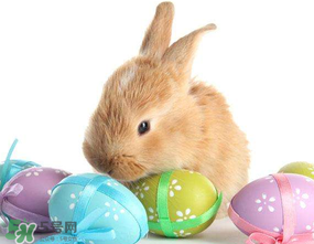 復(fù)活節(jié)為什么有兔子？復(fù)活節(jié)的兔子的來(lái)歷