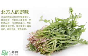 婆婆丁不能與什么同食？婆婆丁不能和什么一起吃？