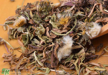 婆婆丁能治高血壓嗎？婆婆丁治高血壓是真的嗎？