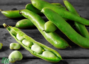 蠶豆什么時(shí)候成熟？蠶豆什么時(shí)候上市？