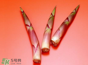 竹筍什么人不能吃？哪些人不適合吃竹筍？