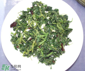 曲曲菜怎么吃？曲曲菜的吃法