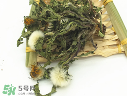 蒲公英有毒嗎?蒲公英有沒(méi)有毒? 蒲公英有毒嗎?蒲公英有沒(méi)有毒?