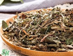 蒲公英有毒嗎?蒲公英有沒(méi)有毒? 蒲公英有毒嗎?蒲公英有沒(méi)有毒?