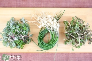 野生小根蒜的功效與作用 小根蒜有什么營(yíng)養(yǎng)價(jià)值 野生小根蒜的功效與作用 小根蒜有什么營(yíng)養(yǎng)價(jià)值