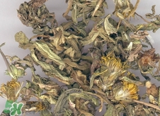 蒲公英怎么泡水喝?干蒲公英怎么泡水喝? 蒲公英怎么泡水喝?干蒲公英怎么泡水喝?