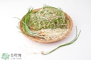 野生小根蒜的功效與作用 小根蒜有什么營(yíng)養(yǎng)價(jià)值 野生小根蒜的功效與作用 小根蒜有什么營(yíng)養(yǎng)價(jià)值