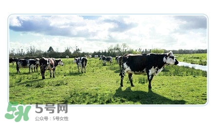 健康時(shí)光有機(jī)奶粉怎么樣？健康時(shí)光有機(jī)奶粉如何？