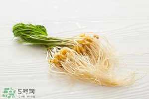 野生小根蒜的功效與作用 小根蒜有什么營(yíng)養(yǎng)價(jià)值 野生小根蒜的功效與作用 小根蒜有什么營(yíng)養(yǎng)價(jià)值