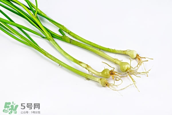 野生小根蒜的功效與作用 小根蒜有什么營(yíng)養(yǎng)價(jià)值 野生小根蒜的功效與作用 小根蒜有什么營(yíng)養(yǎng)價(jià)值