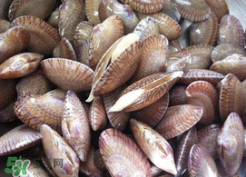 花甲可以放冰箱嗎？花甲放冰箱能放多久？