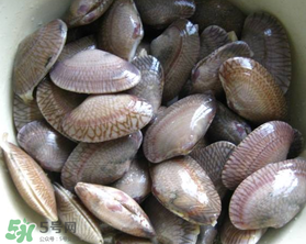 花甲可以放冰箱嗎？花甲放冰箱能放多久？