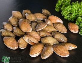 花甲可以放冰箱嗎？花甲放冰箱能放多久？