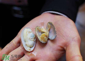 花甲怎么養(yǎng)不會(huì)死？花甲怎么養(yǎng)到用第二天？